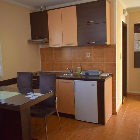 Apartmani Radoicic Josanicka Banja Exterior foto
