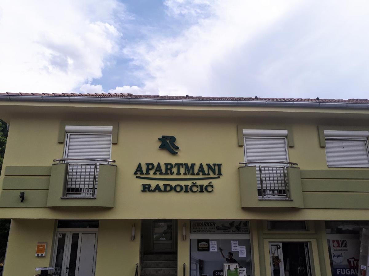 Apartmani Radoicic Josanicka Banja Exterior foto